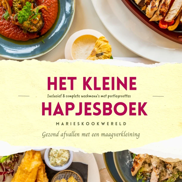 Het kleine hapjesboek na je maagverkleining – Marie-Josee Koks – boek cover