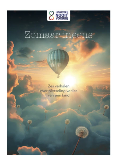 Zomaar ineens – Mirjam Louwen-van Bekkum – boek cover