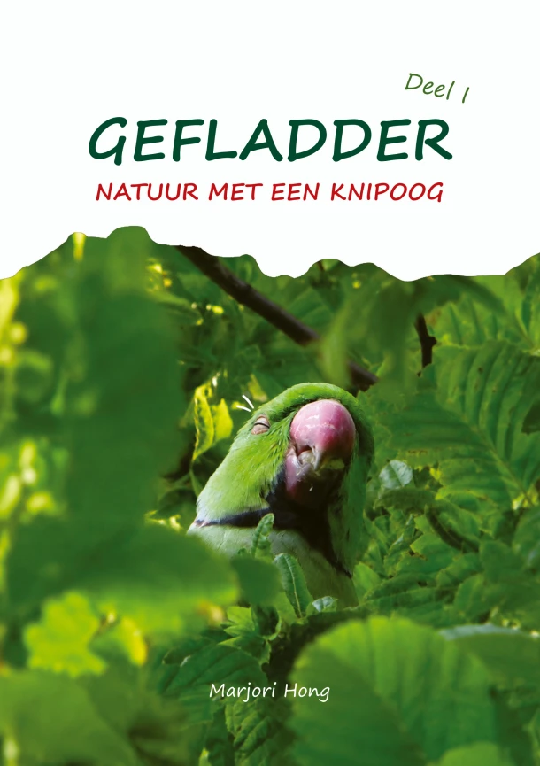 1 – Marjori Hong – boek cover
