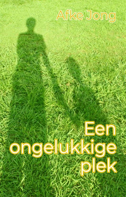 Een ongelukkige plek – Afke Jong – boek cover