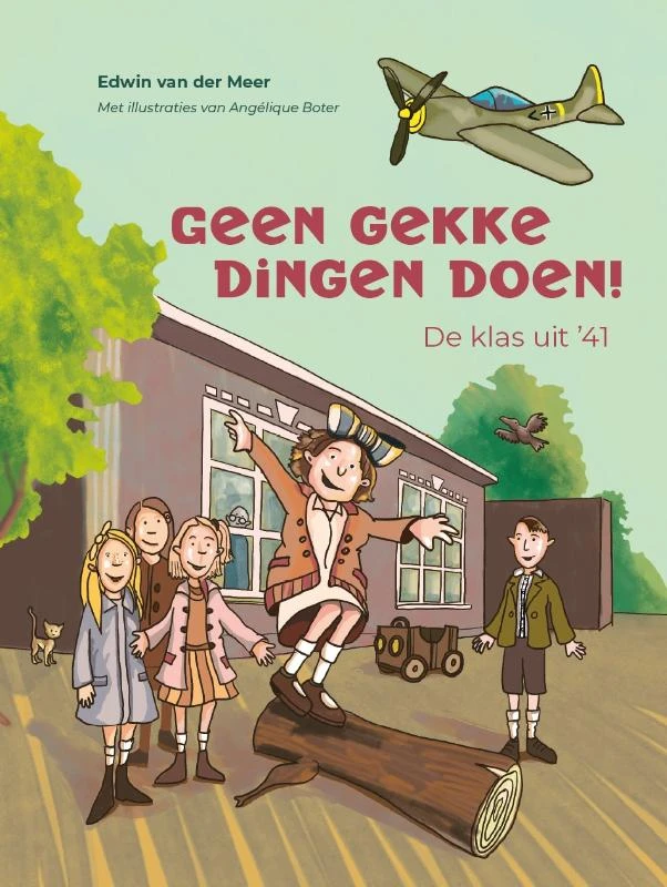 Geen gekke dingen doen! – Edwin van der Meer – boek cover