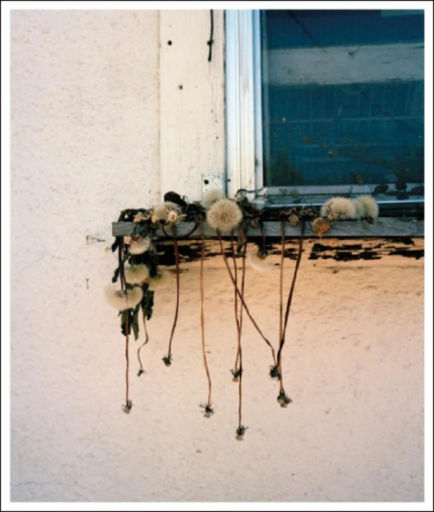 Stick Holding Branch – Wytske van Keulen – boek cover