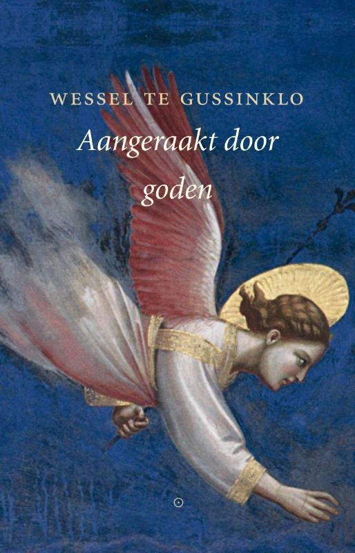 Aangeraakt door goden – Wessel te Gussinklo – boek cover