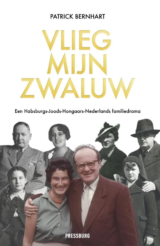 Vlieg, mijn zwaluw – Patrick Bernhart – boek cover