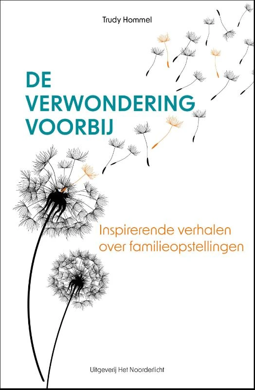De verwondering voorbij – Trudy Hommel – boek cover