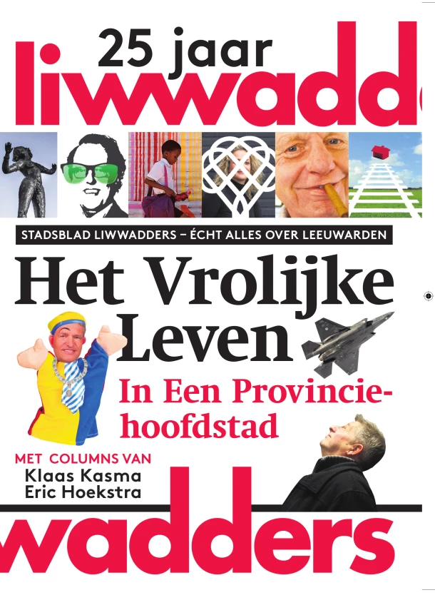 Het vrolijke leven in een provinciehoofdstad – Andries Veldman – boek cover
