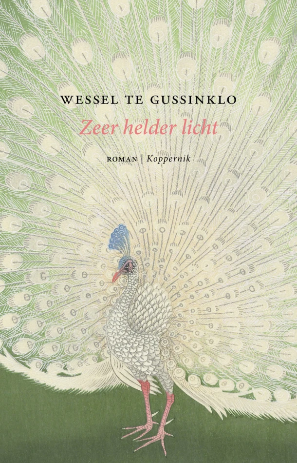 Zeer helder licht – Wessel te Gussinklo – boek cover