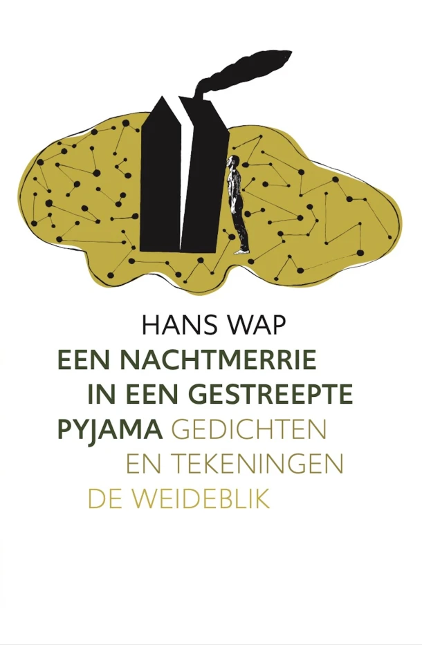 Een nachtmerrie in een gestreepte pyjama – Hans Wap – boek cover