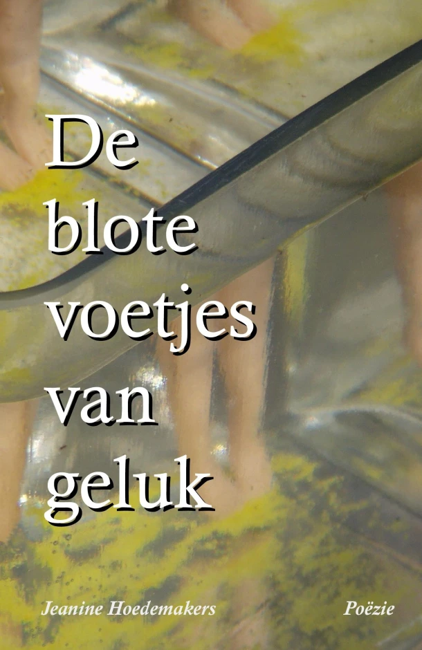 DE BLOTE VOETJES VAN GELUK – Jeanine HOEDEMAKERS – boek cover
