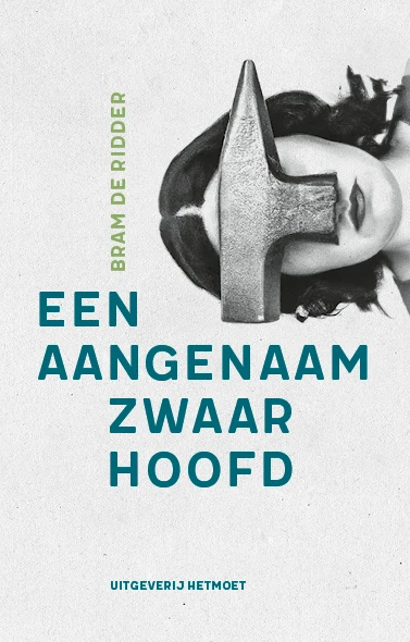 Een aangenaam zwaar hoofd – Bram De Ridder – boek cover