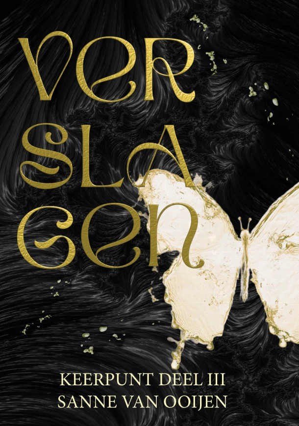 Verslagen – Sanne Van Ooijen – boek cover