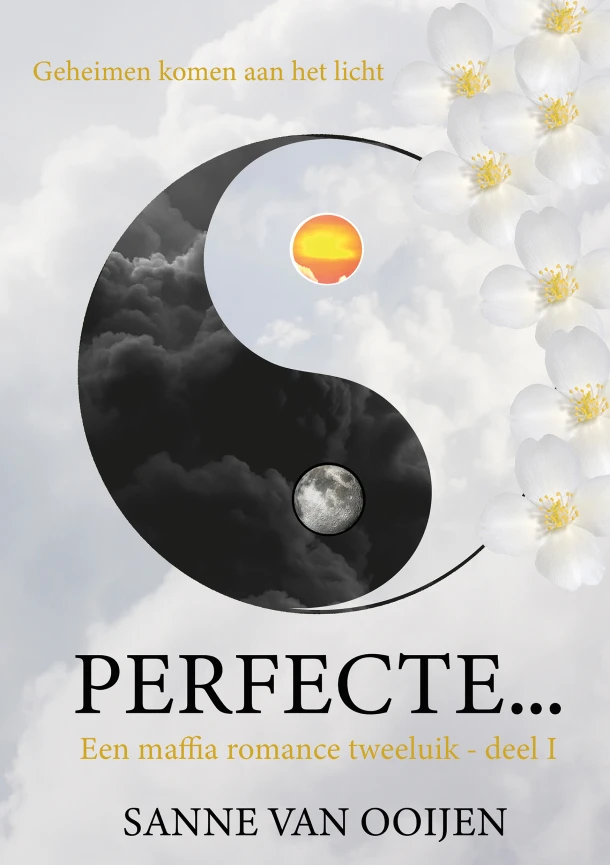 Perfecte... – Sanne Van Ooijen – boek cover