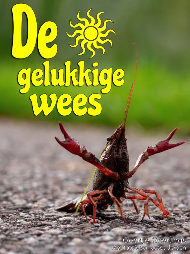 De gelukkige wees – Geertje Geerlings – boek cover