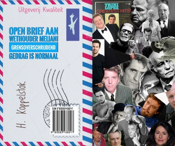 Grensoverschrijdend gedrag is normaal – H. Koppelstok – boek cover