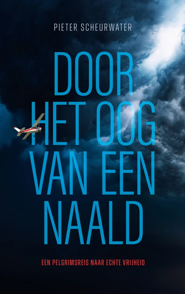 Door het oog van een naald – Pieter Scheurwater – boek cover