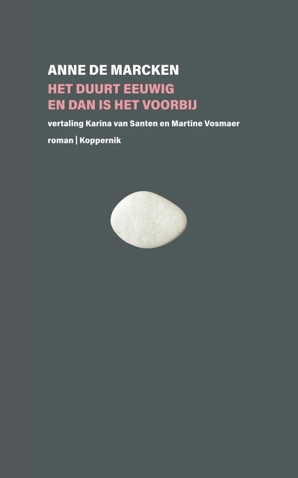 Het duurt eeuwig en dan is het voorbij – Anne de Marcken – boek cover