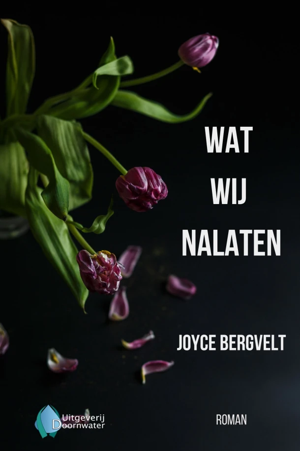 Wat wij nalaten – Joyce Bergvelt – boek cover