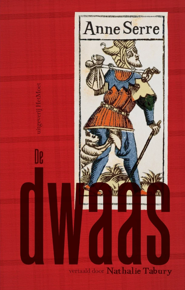 De dwaas – Anne Serre – boek cover