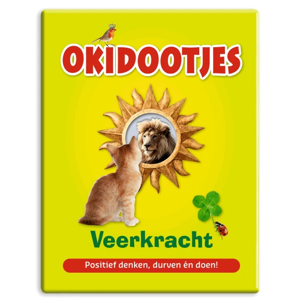 Okidootjes Veerkracht – Lo van Beers – boek cover