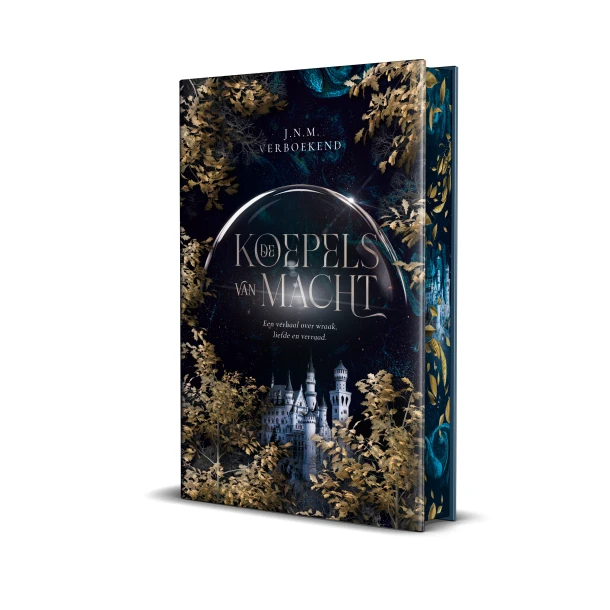 De koepels van macht – Judith Verboekend – boek cover