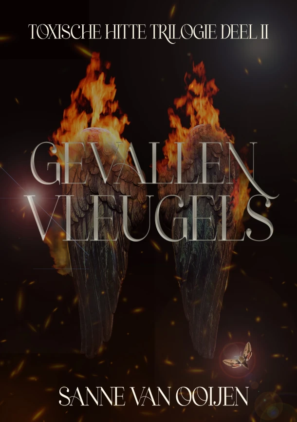 Gevallen vleugels – boek cover