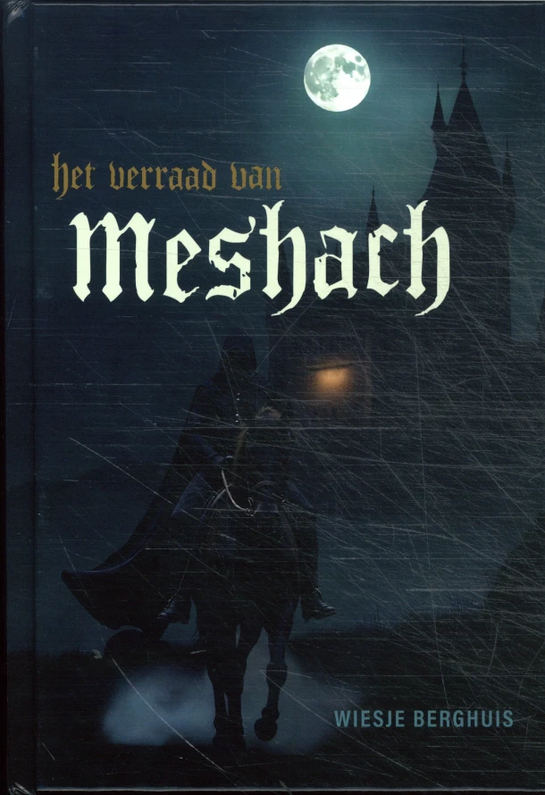 Het verraad van Meshach – Wiesje Berghuis – boek cover