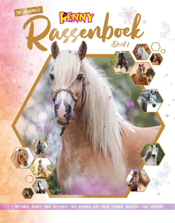 1 – boek cover
