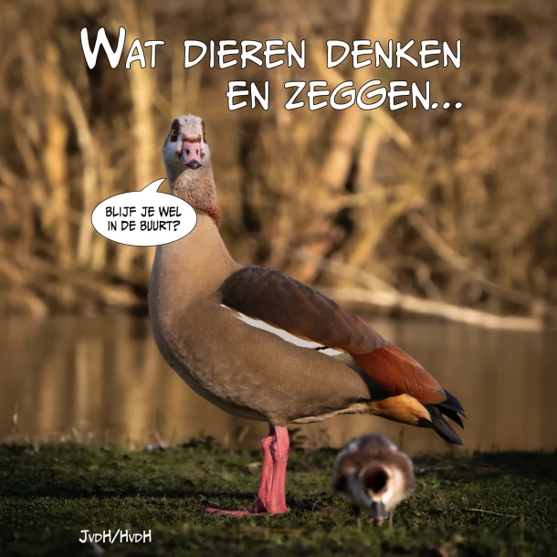 Wat dieren denken en zeggen – Jesse van der Heyden – boek cover