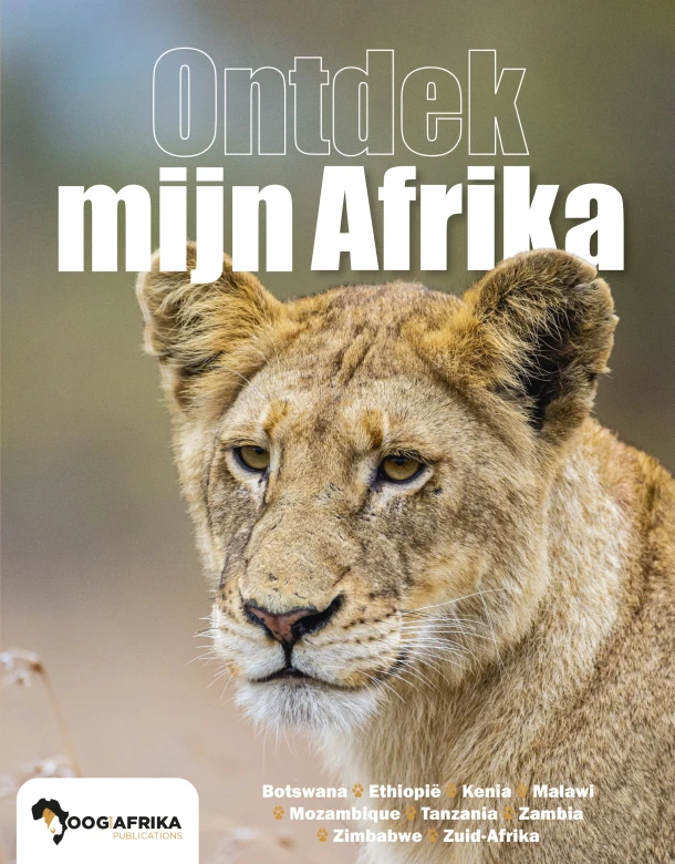 Ontdek mijn Afrika – Marjolein Westerterp – boek cover