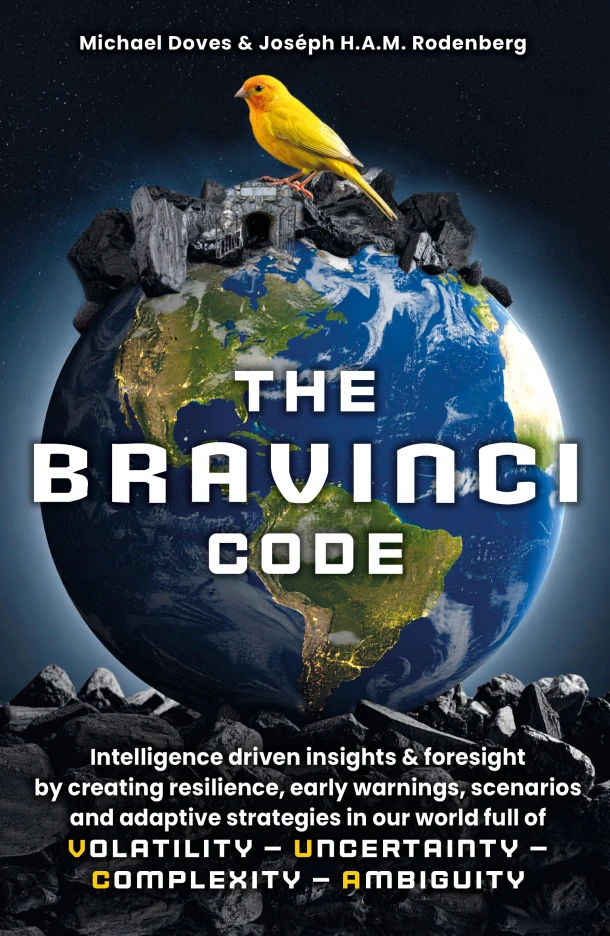 The Bravinci Code – Michael Doves – boek cover