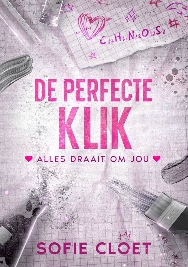 De perfecte klik – boek cover