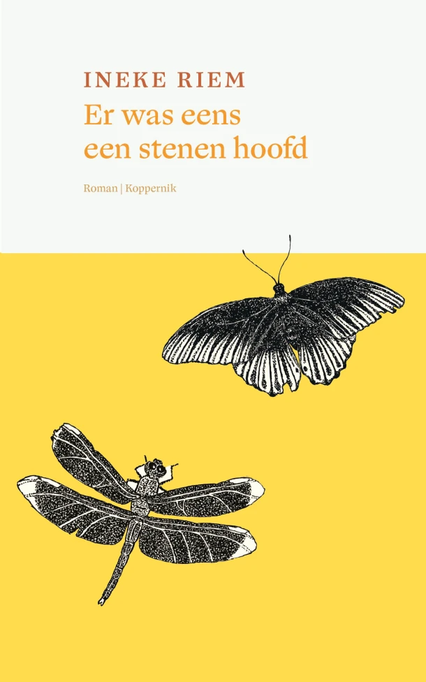 Er was eens een stenen hoofd – Ineke Riem – boek cover