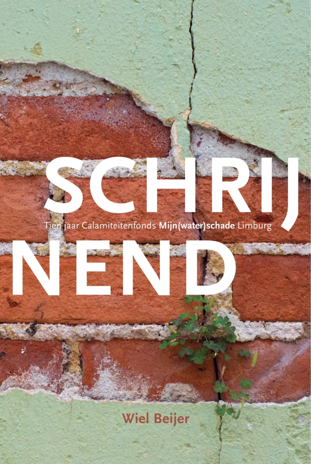 Schrijnend – Wiel Beijer – boek cover