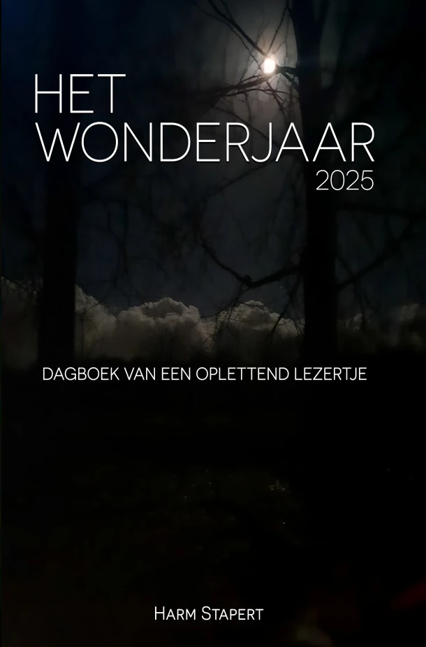 Het Wonderjaar 2025 – Harm Stapert – boek cover