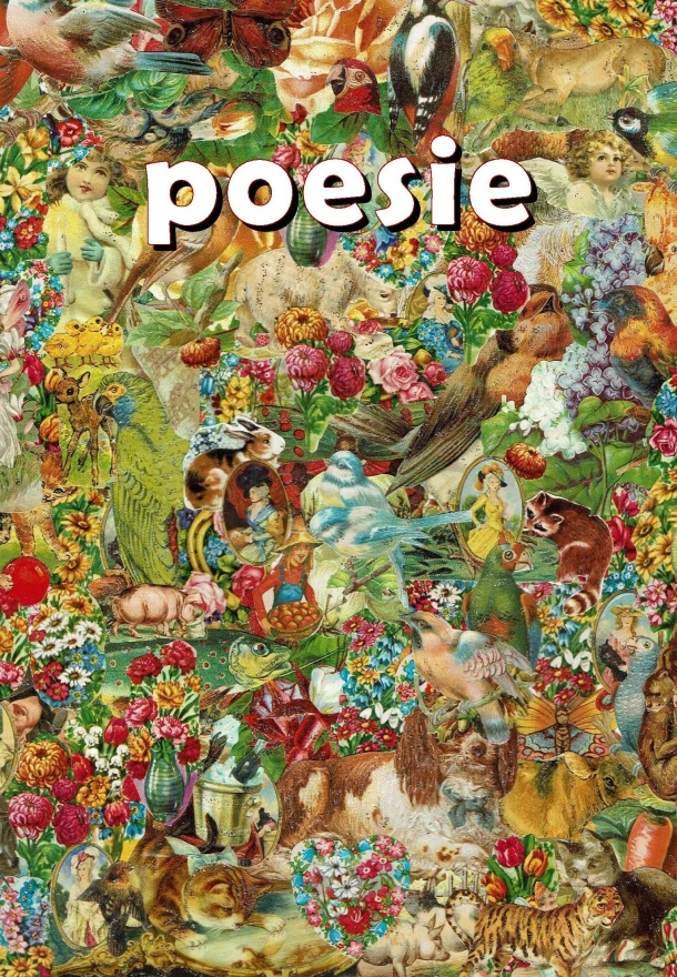 poesie – Marjon Zomer – boek cover
