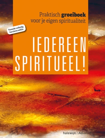 Iedereen spiritueel – Johan Van der Vloet – boek cover