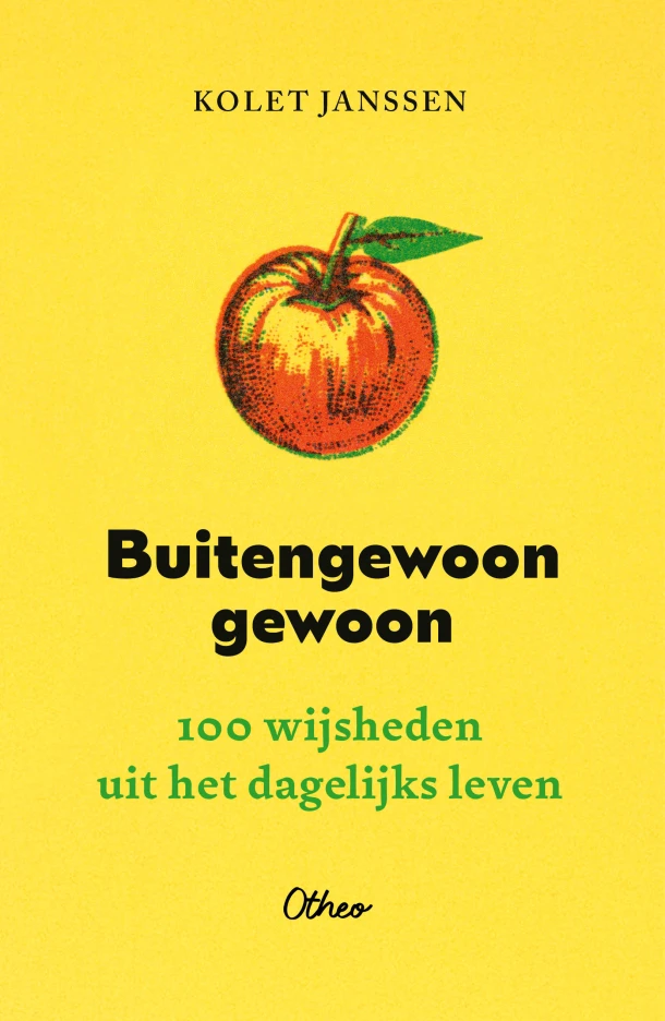 Buitengewoon gewoon – Kolet Janssen – boek cover