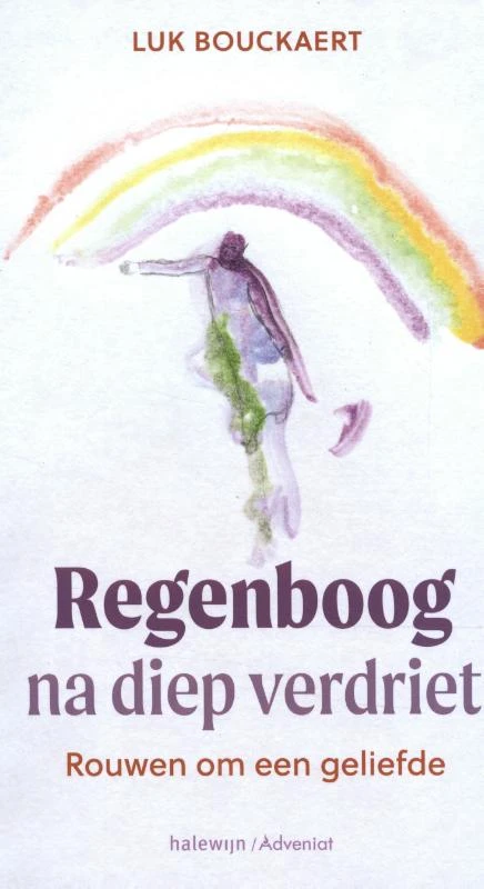 Regenboog na diep verdriet ā Luk Bouckaert ā boek cover