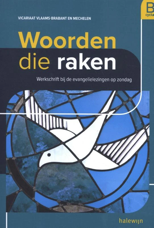 B-cyclus – Vicariaat Vlaams Brabant Mechelen – boek cover