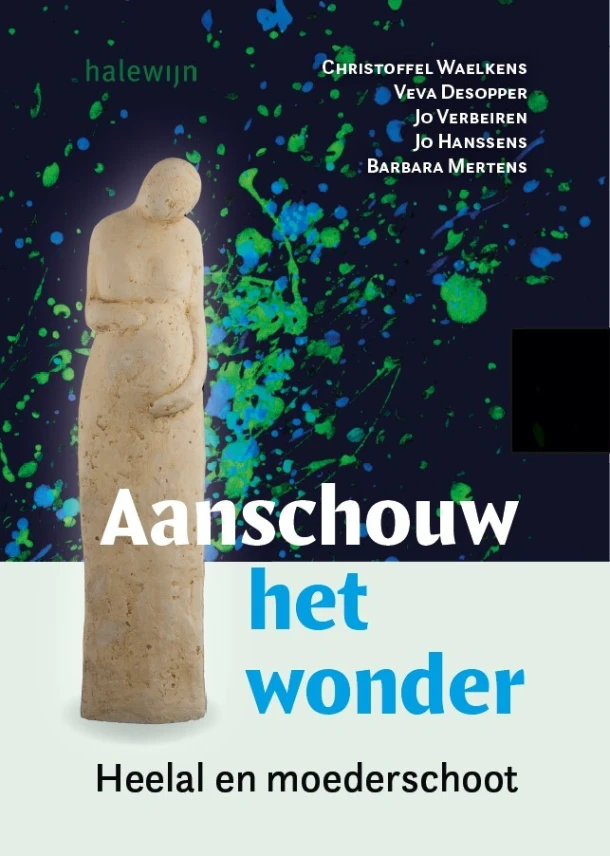 Aanschouw het wonder ā Christoffel Waelkens ā boek cover