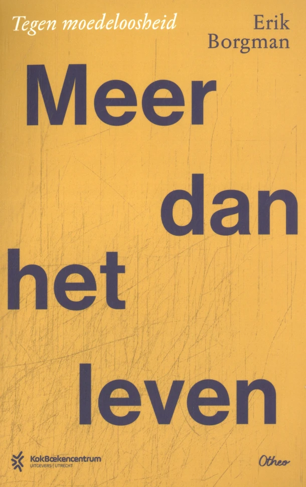 Meer dan het leven – Erik Borgman – boek cover