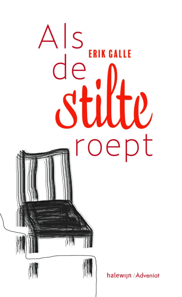 Als de stilte roept – Erik Galle – boek cover
