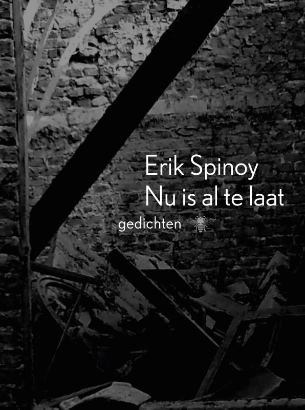 Nu is al te laat – Erik Spinoy – boek cover