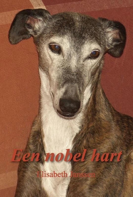 Een nobel hart – Elisabeth Janssen – boek cover