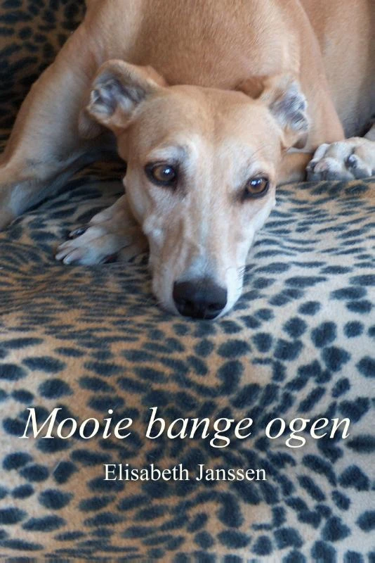 Mooie bange ogen – Elisabeth Janssen – boek cover