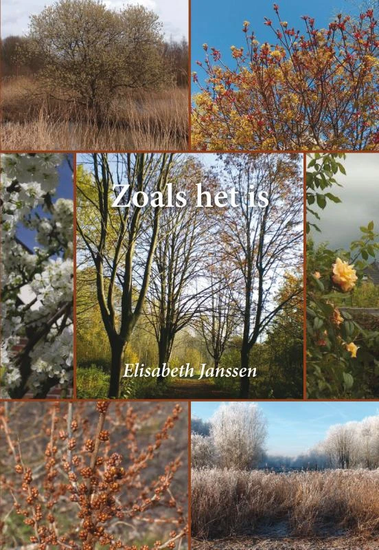 Zoals het is – Elisabeth Janssen – boek cover