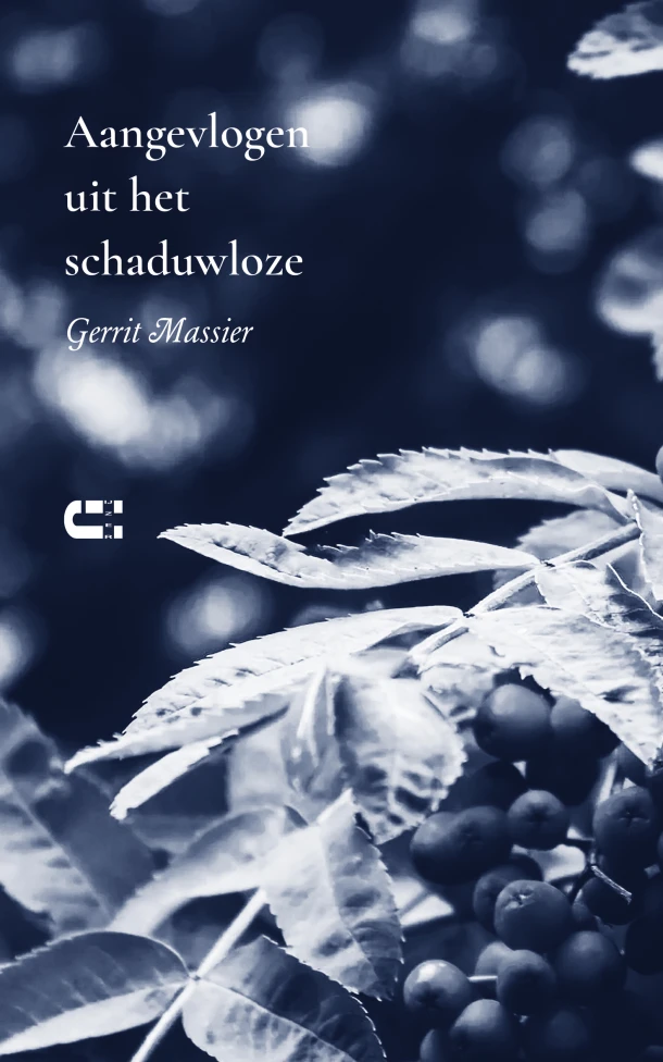 Aangevlogen uit het schaduwloze – Gerrit Massier – boek cover