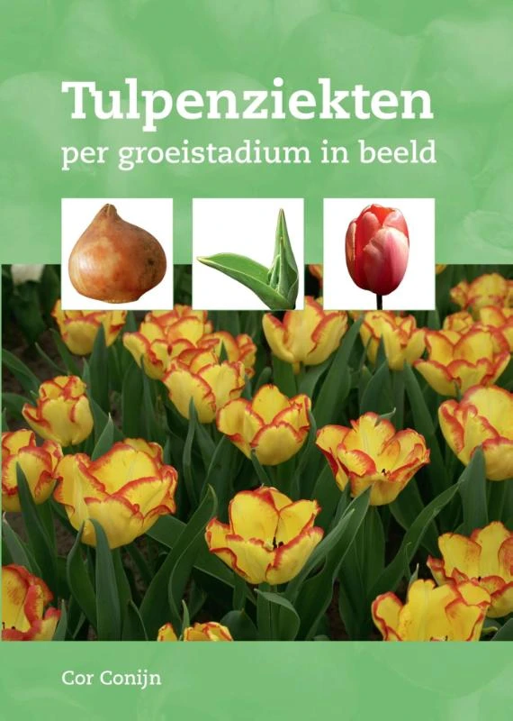 Tulpenziekten – Cor Conijn – boek cover