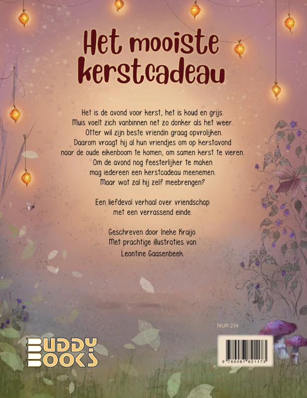 Het mooiste kerstcadeau – Ineke Kraijo – boek cover