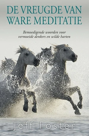 De vreugde van ware meditatie – Jeff Foster – boek cover
